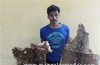 Mangaluru: Haveri man arrested for trying to sell Black Buck pelts